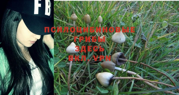 дживик Белокуриха