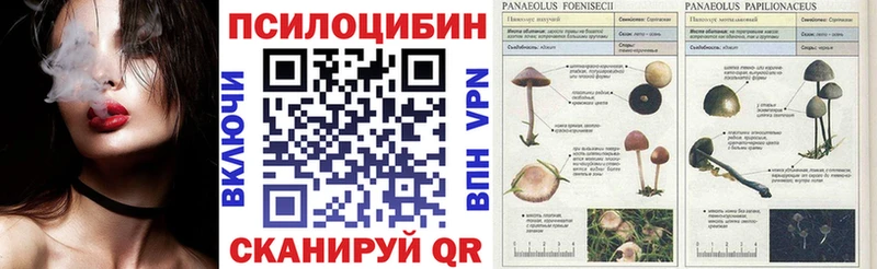 Псилоцибиновые грибы Psilocybine cubensis Емва